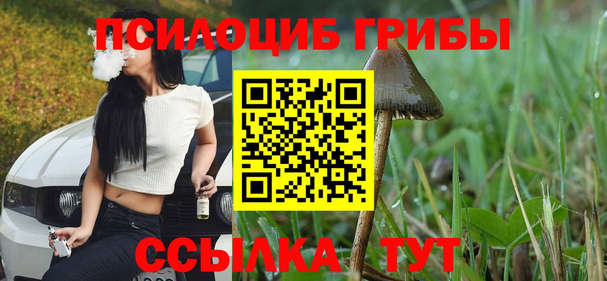 Галлюциногенные грибы мицелий Качканар