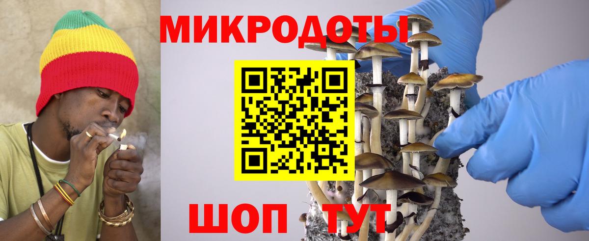 купить закладку  Псилоцибиновые грибы GOLDEN TEACHER  Вход с VPN  Качканар 